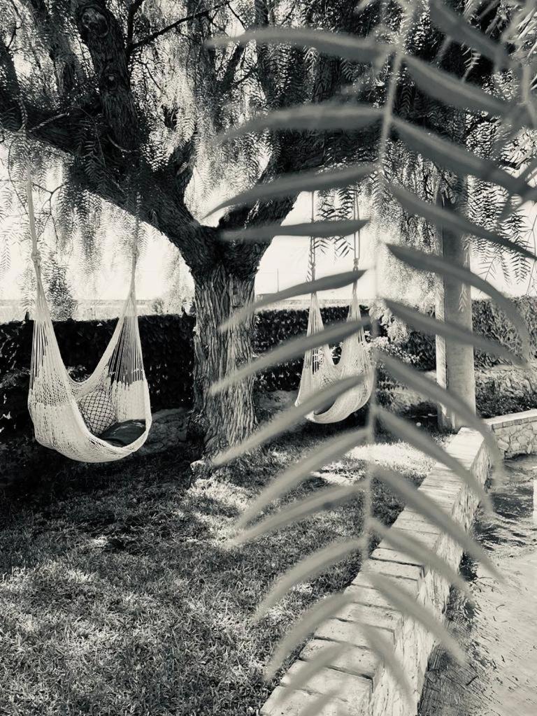 Villa Primofiore Di Vendicari La Banca Exterior foto